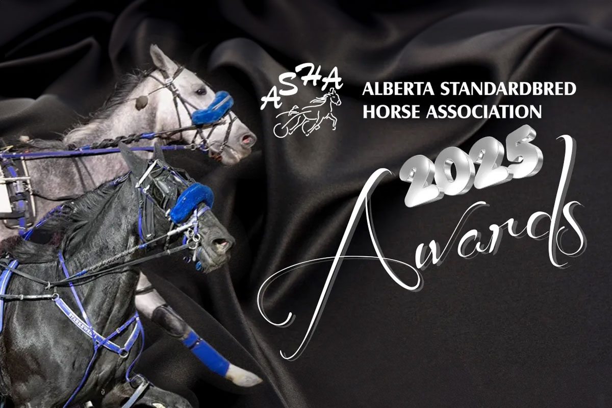 ASHA 2025 Awards Night slate