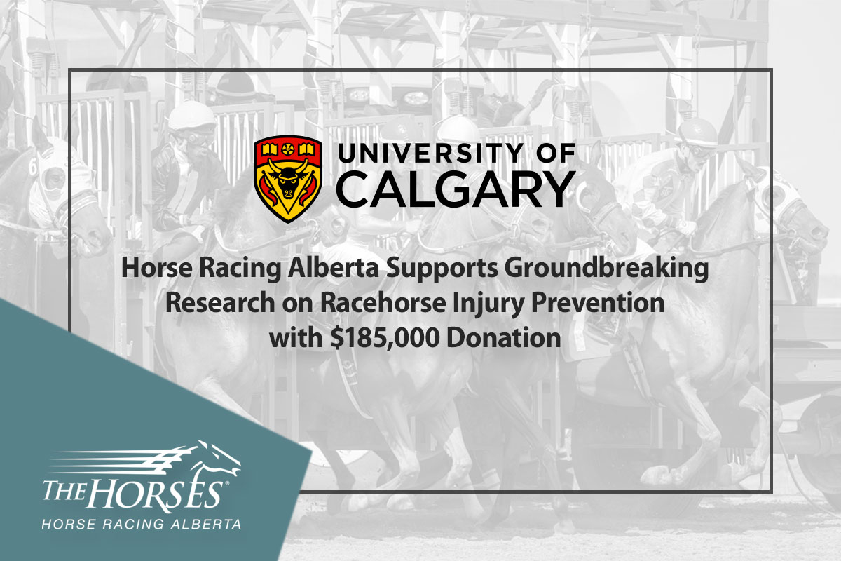 University of Calgary Racehorse Injury Prevention Donation