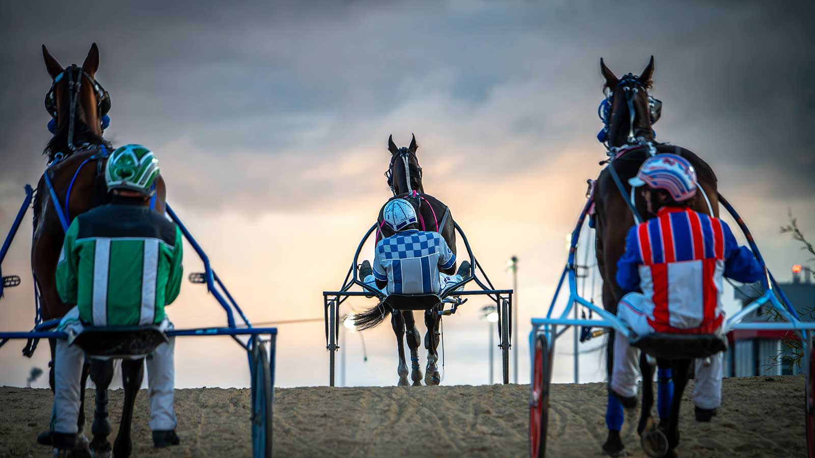 harness-homepg-slate